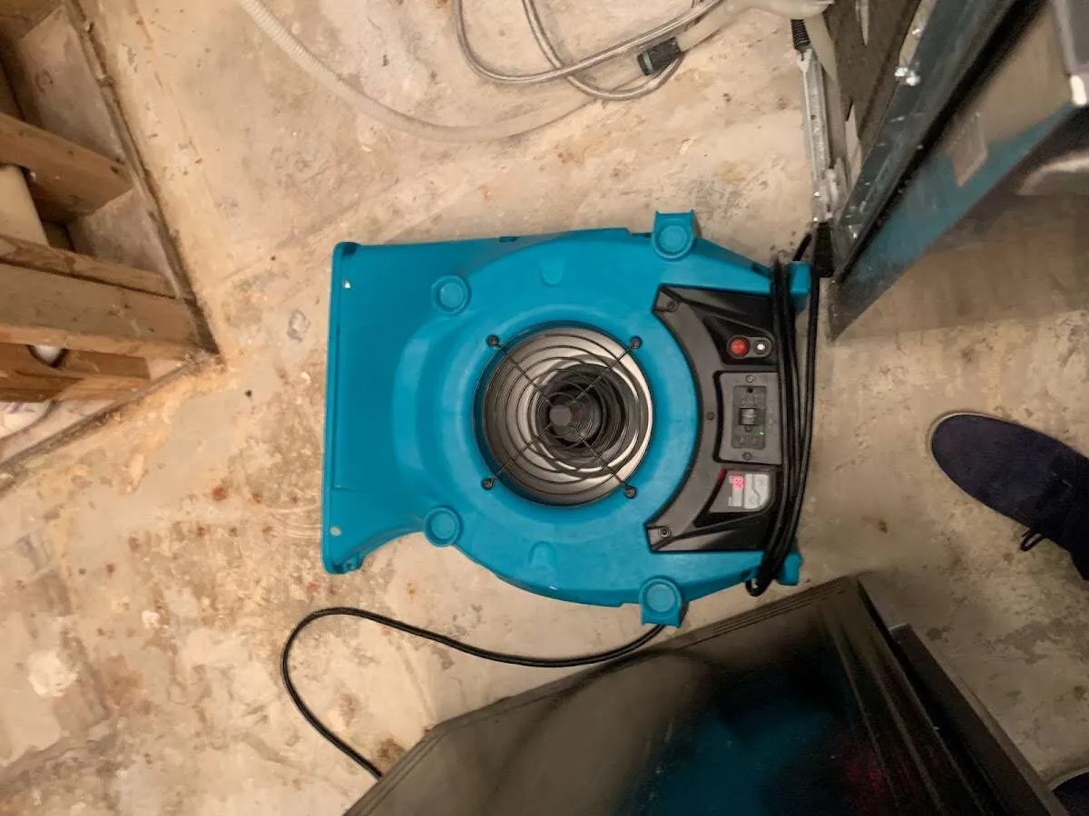 Air mover drying equipment for Mold Remediation & Removal in Wharton